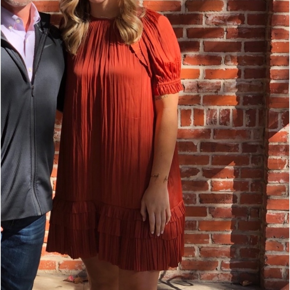 Ulla Johnson Rust Federica Dress Size 8